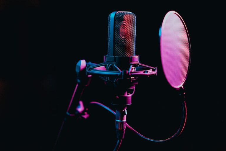 Top 5 USA Voice Recognition AI Tools (August 2025